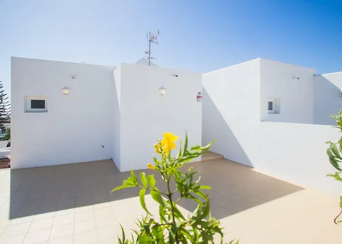 Flower 26 פלאיה הונדה