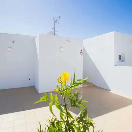 Flower 26 플라야 온다