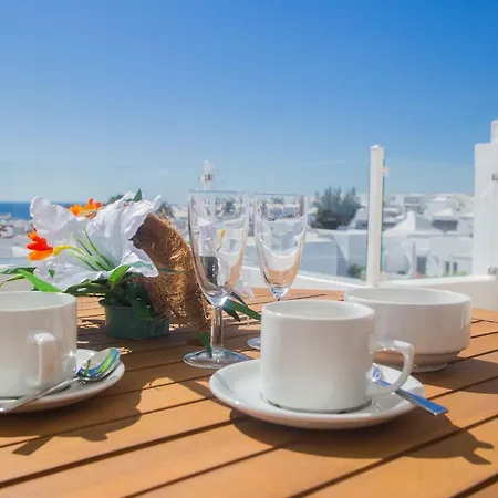 Flower 26 * 플라야 온다